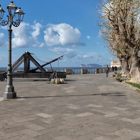 Nima * Alghero